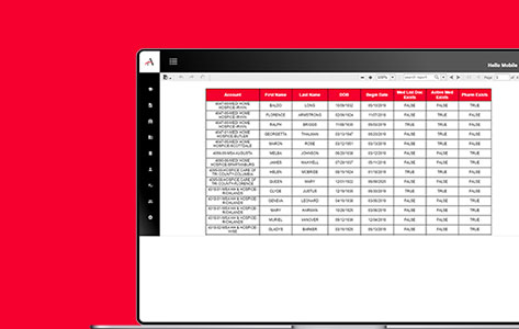 BI Reports for Hospices Management Firm