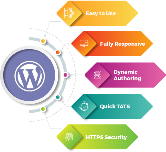 Why hire dedicated WordPress developer for your website?