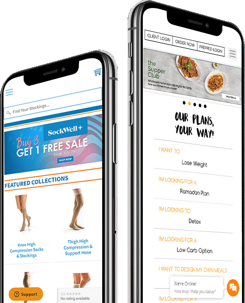 Unlock Success with Expertise eCommerce Development Services