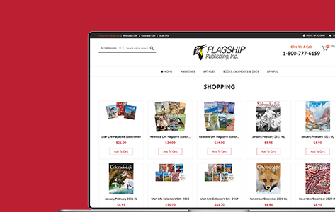 Miscellaneous Magento Platform Revitalized User Experience for USA’s Popular Publishing House