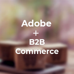 Adobe B2B Commerce Agility
