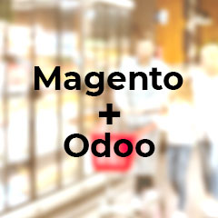 Omnichannel Experience