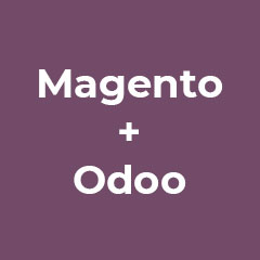 Omnichannel Experience