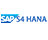 SAPS/4 Hana