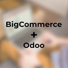 Omnichannel Experience