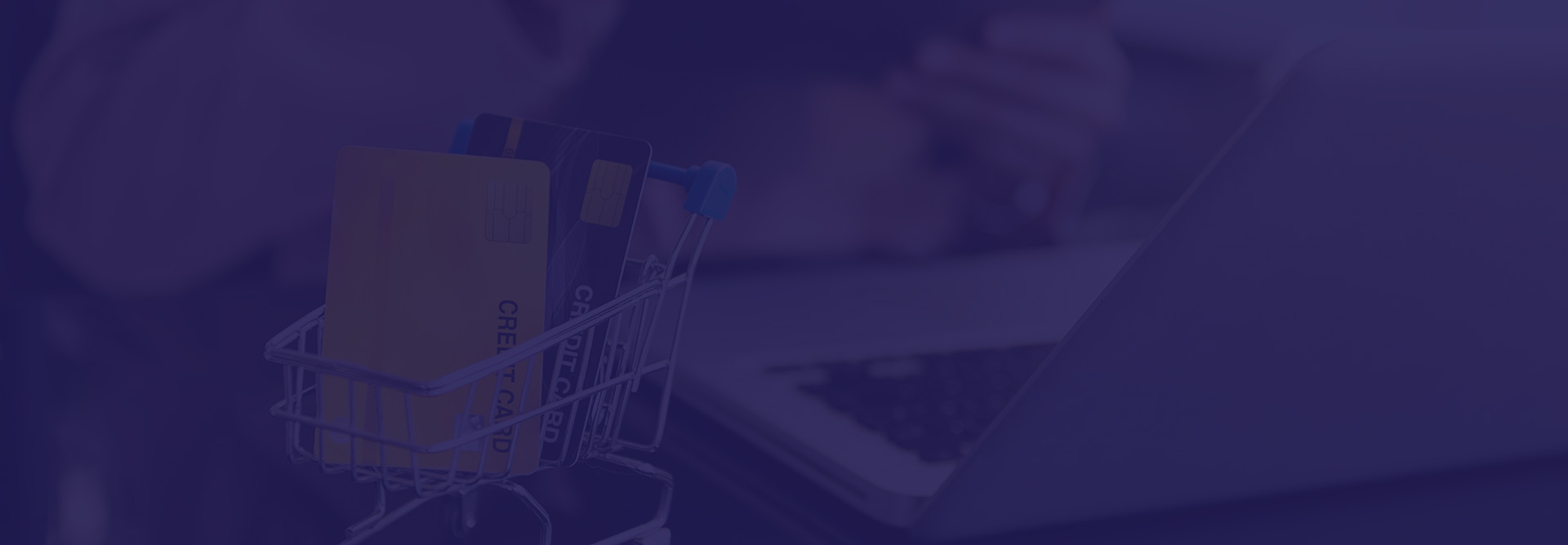 BigCommerce Development Platforms We Offer