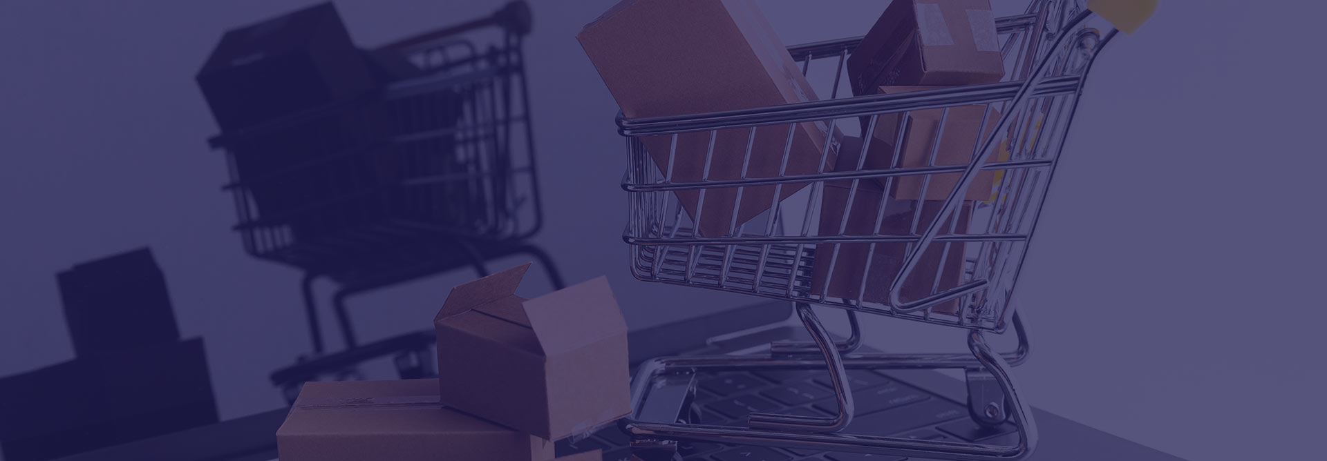 We Offer WooCommerce Website Development Services For