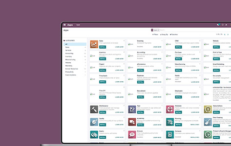 Implementation of Odoo Accounting for a Custom eCommerce Platform