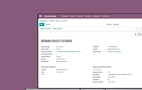 Revamping Odoo Functionality to Better Estimate the Profitability