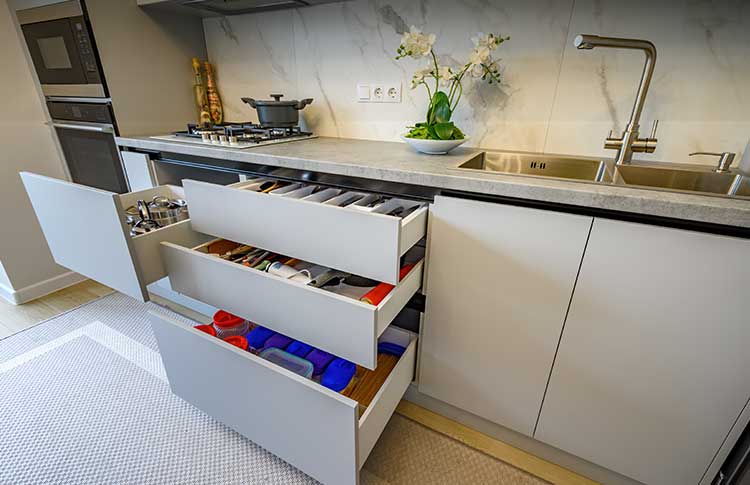 Cabinet Organizer Pioneer Seeks Adobe Consultancy From Brainvire