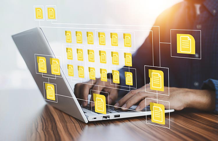 Unified Website Development for Seamless Data Collection of Pensioner Verification System