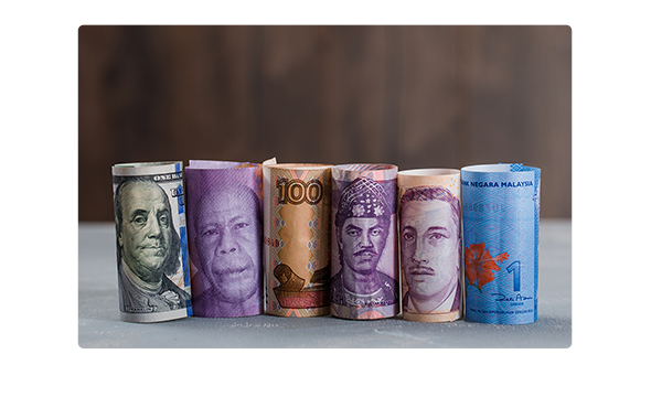 Managing Multi-currency:
