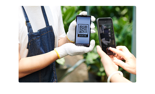 Introduced Dual Payment Methods: