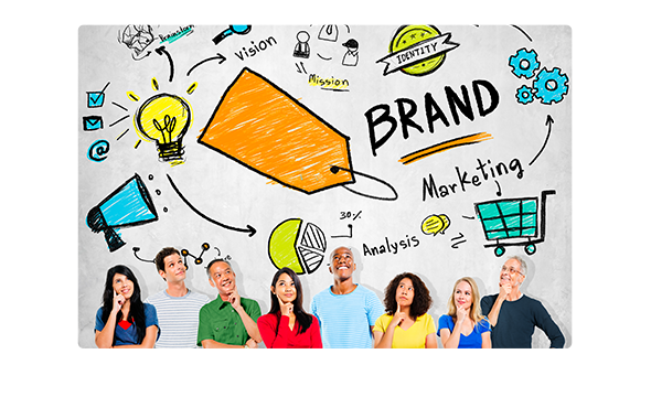 Multiple Brands and Segments: