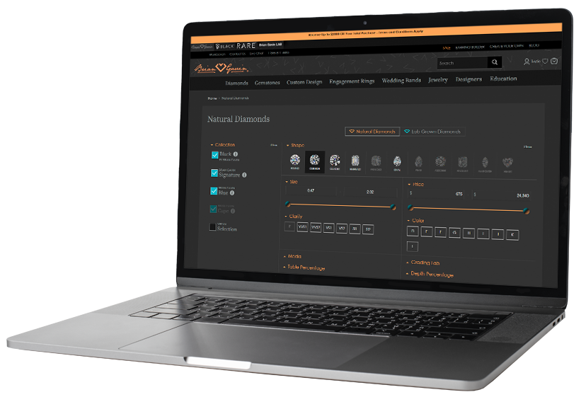 Data Analysis and Insights