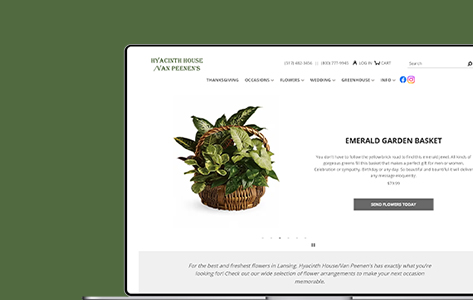 Odoo ERP Implementation Enhanced User Experience