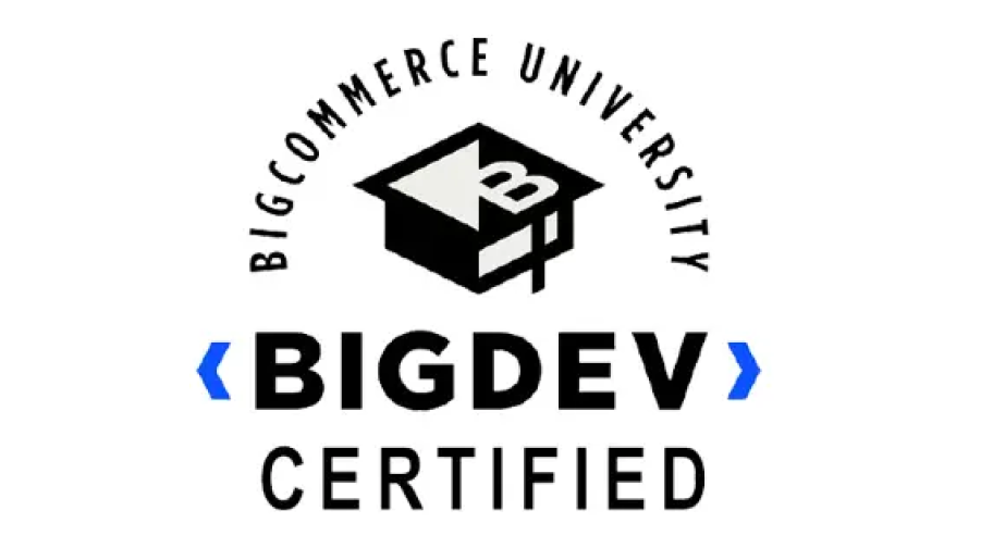 https://www.brainvire.com/wp/wp-content/uploads/2024/01/BIGDEV.png