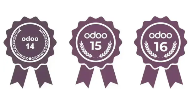https://www.brainvire.com/wp/wp-content/uploads/2024/01/Odoo-16-logo.png