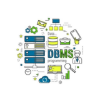 DBMS