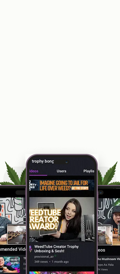 We helped a cannabis brand boost its web and mobile presence.