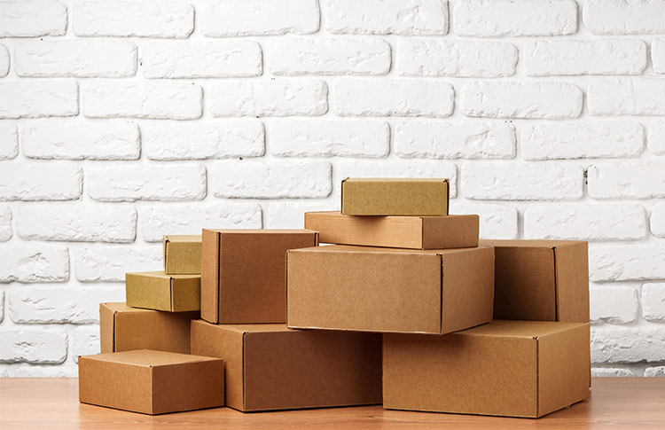 Brainvire Joins Hands with UsedCardboardBoxes to Redesign Its Eco Packaging Website