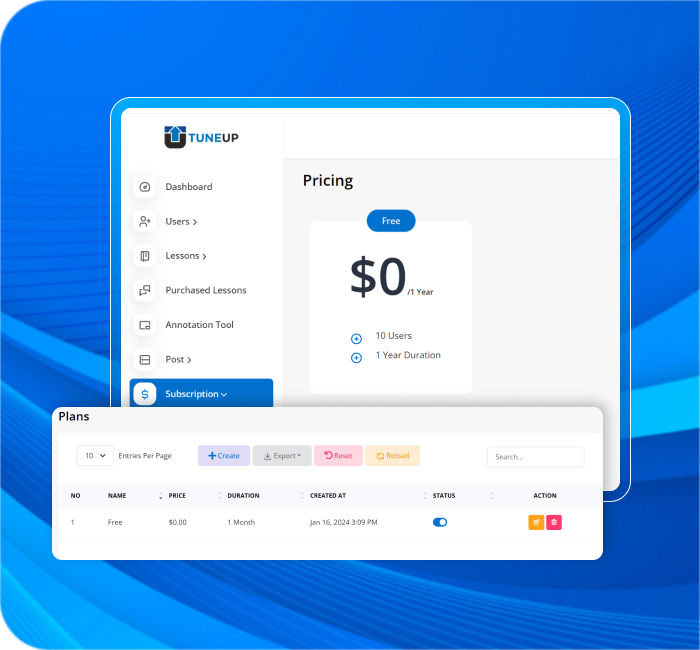 Subscription-Based Model for Exclusive Lessons and Content